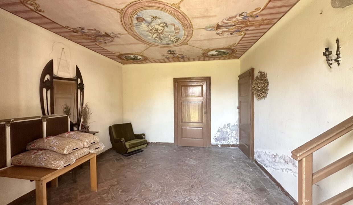 Lake Como House with Garden To Renovate Domaso