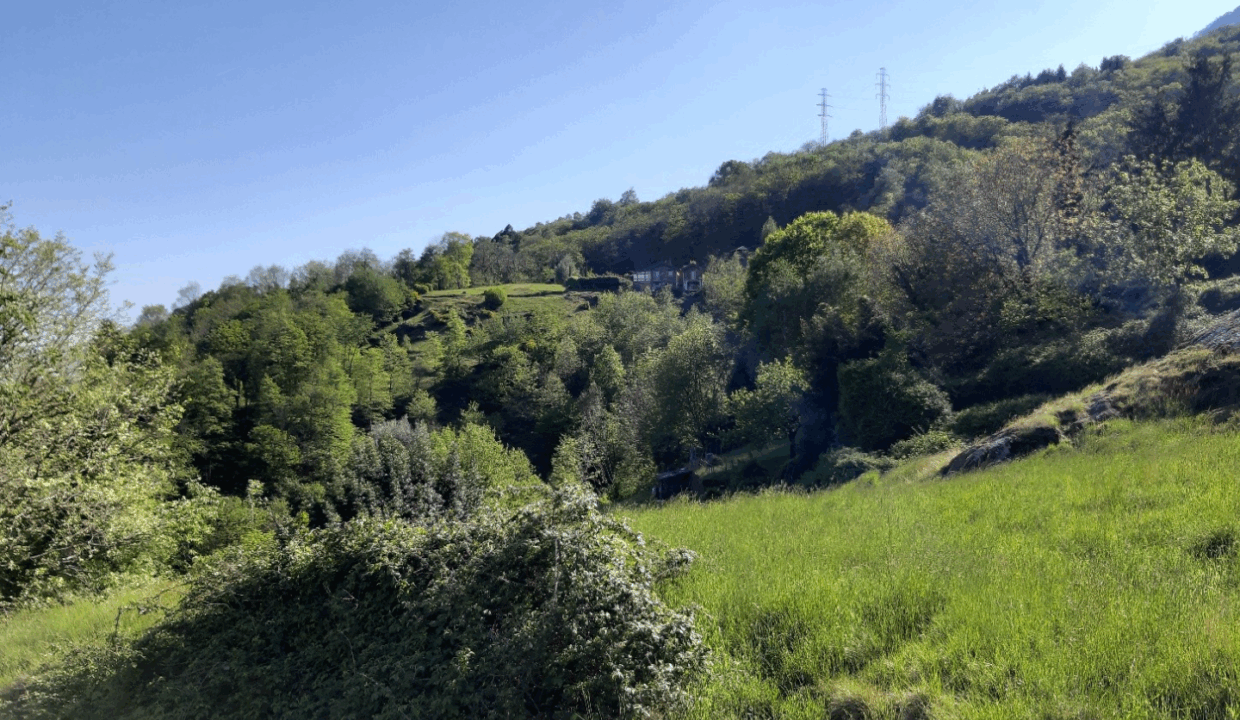 Progetto Villa Pianello del Lario9