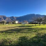 Lake Como Tremezzina Building Plot